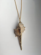 Close-up of real conch shell with metallic accent and fine chain