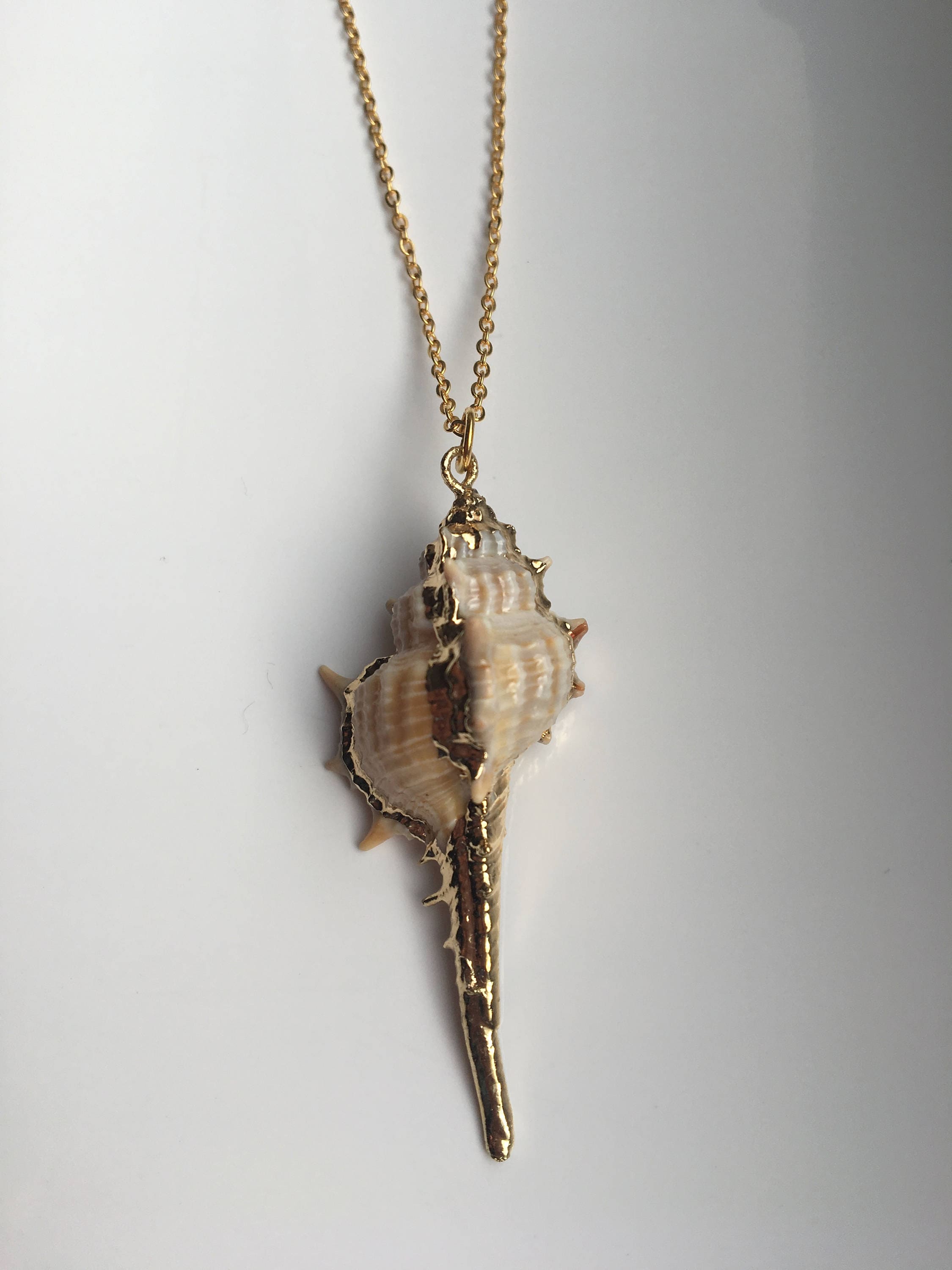 Close-up of real conch shell with metallic accent and fine chain