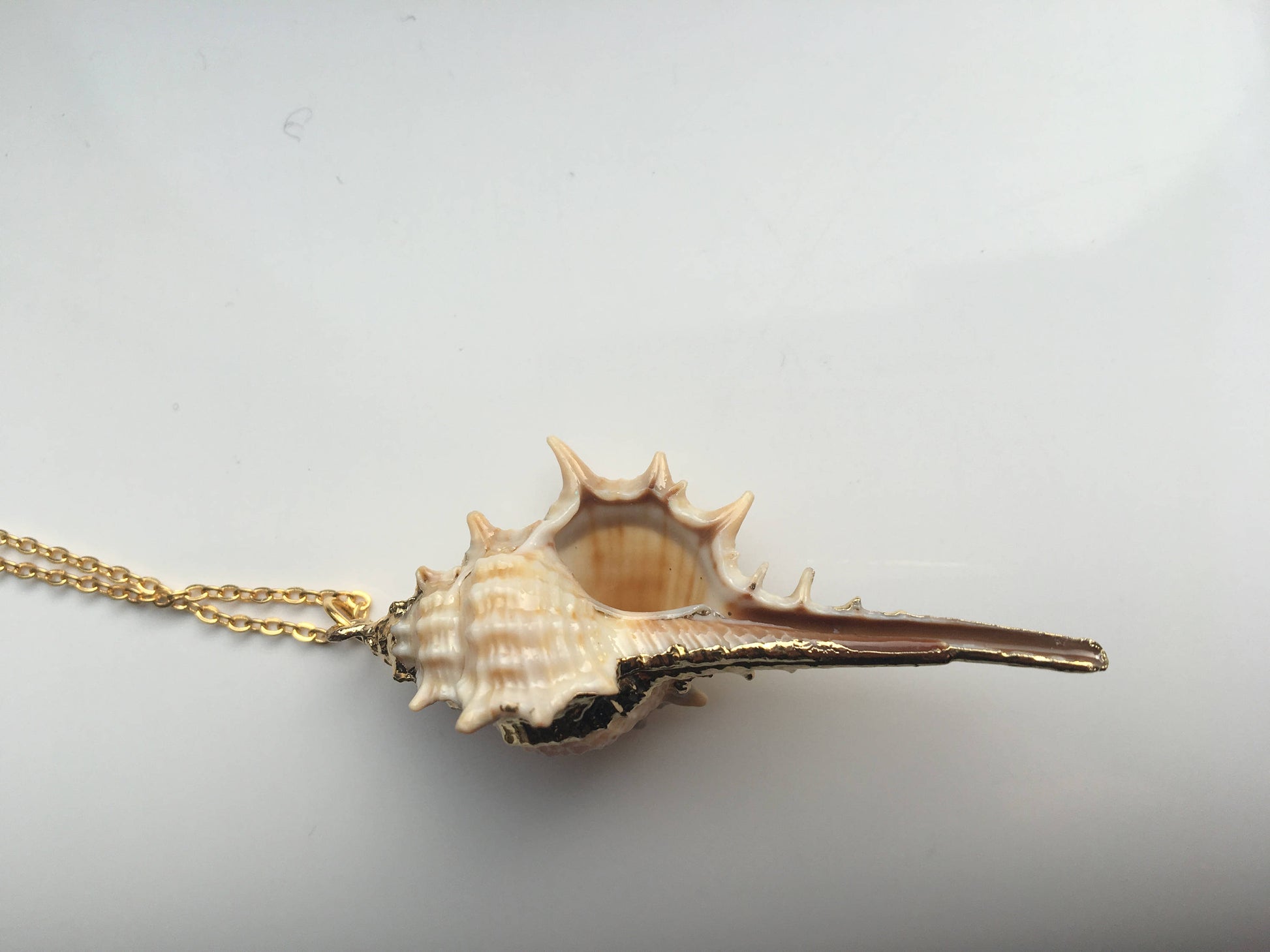 Conch Necklace.18K Gold plated.Real Seashell Necklace.Natural Shell Necklace.Beach Jewelry.Ocean Pendant.Silver Necklace.Sea Decoration