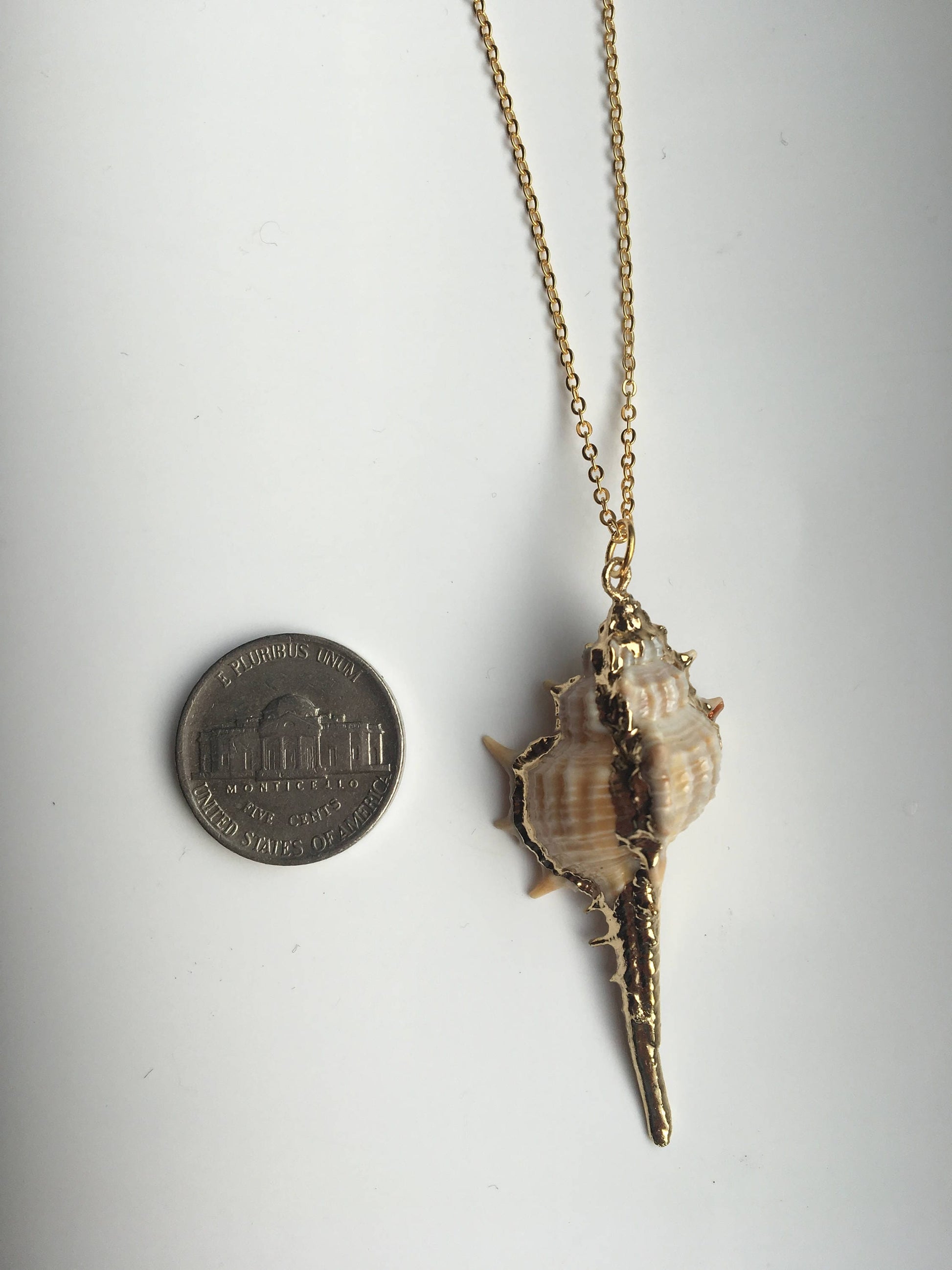 Conch Necklace.18K Gold plated.Real Seashell Necklace.Natural Shell Necklace.Beach Jewelry.Ocean Pendant.Silver Necklace.Sea Decoration