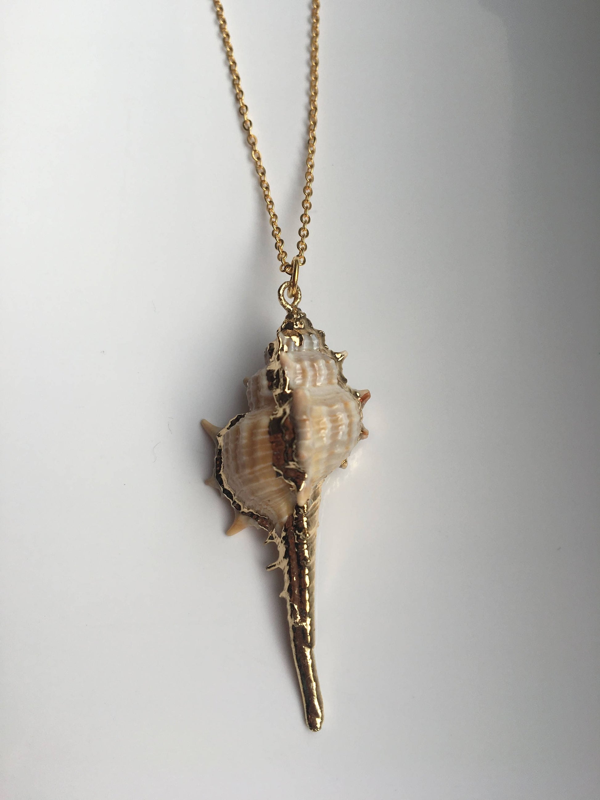 Conch Necklace.18K Gold plated.Real Seashell Necklace.Natural Shell Necklace.Beach Jewelry.Ocean Pendant.Silver Necklace.Sea Decoration