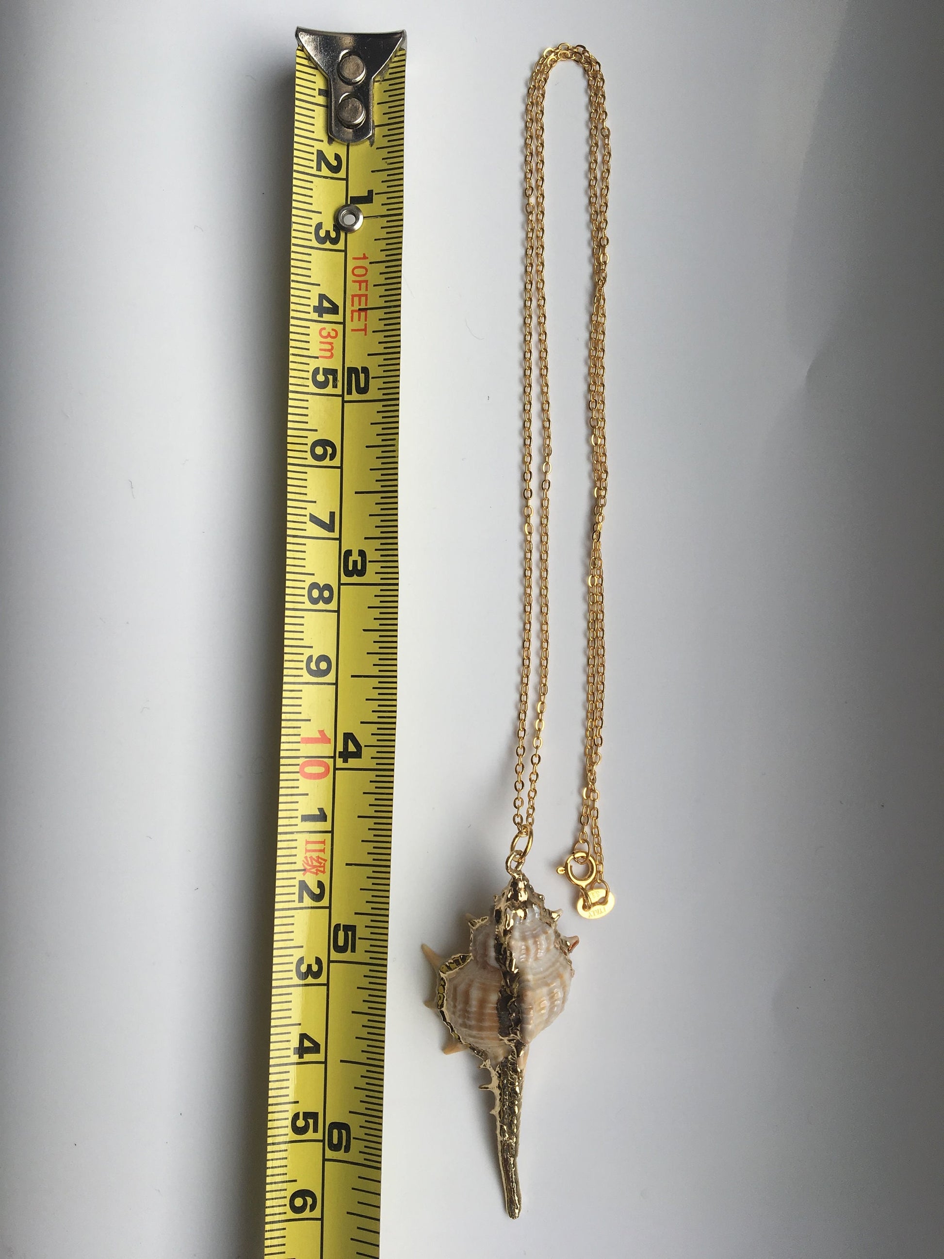 Conch Necklace.18K Gold plated.Real Seashell Necklace.Natural Shell Necklace.Beach Jewelry.Ocean Pendant.Silver Necklace.Sea Decoration